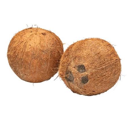 coconut